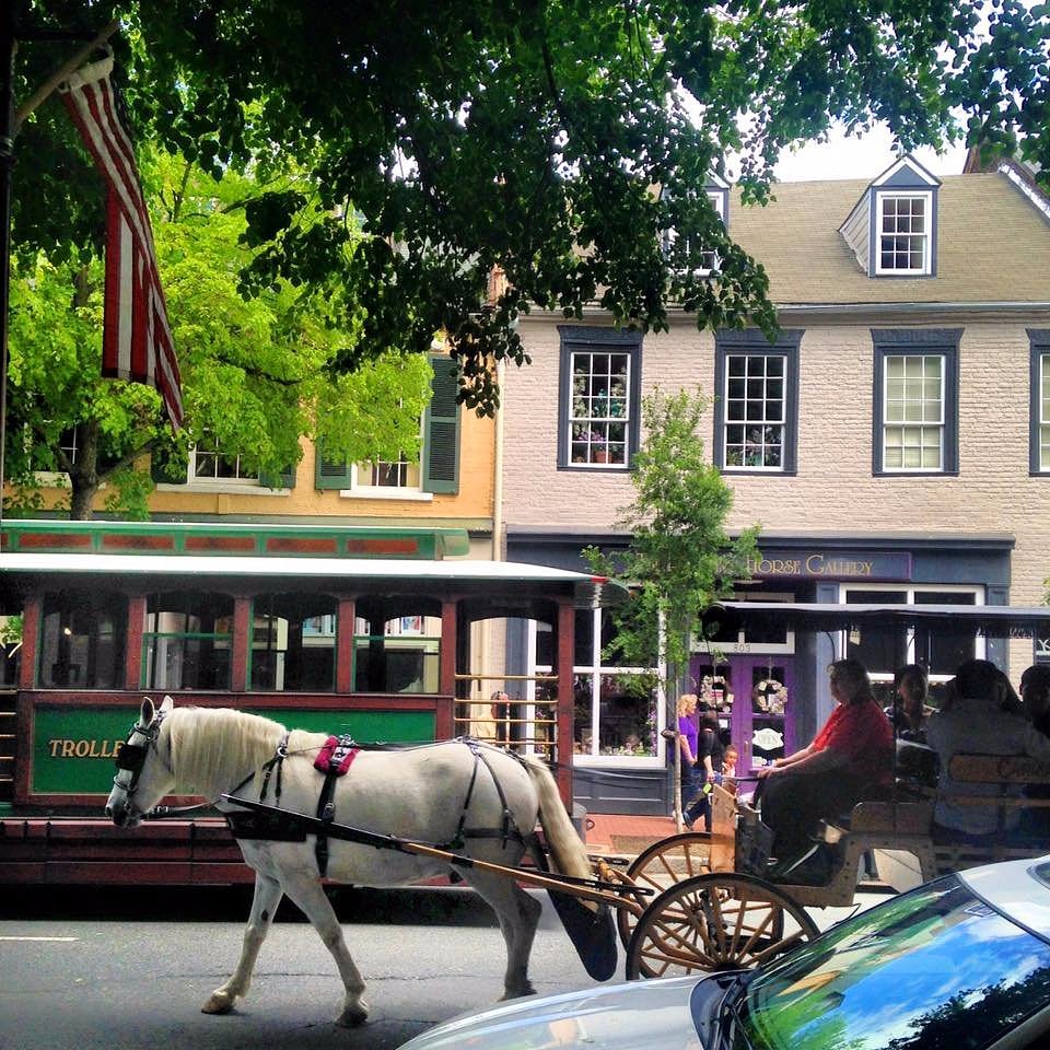 olde towne carriage tours