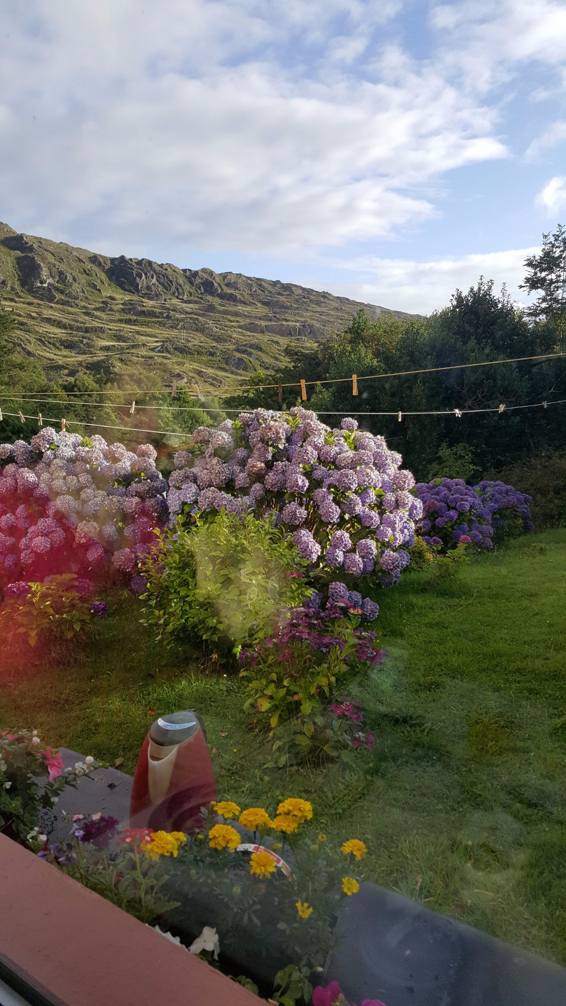 MAGANNAGAN FARM B&B (Glengarriff, Ierland) - Foto's En Reviews ...