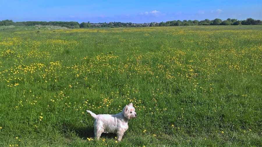 In the fields around the park,