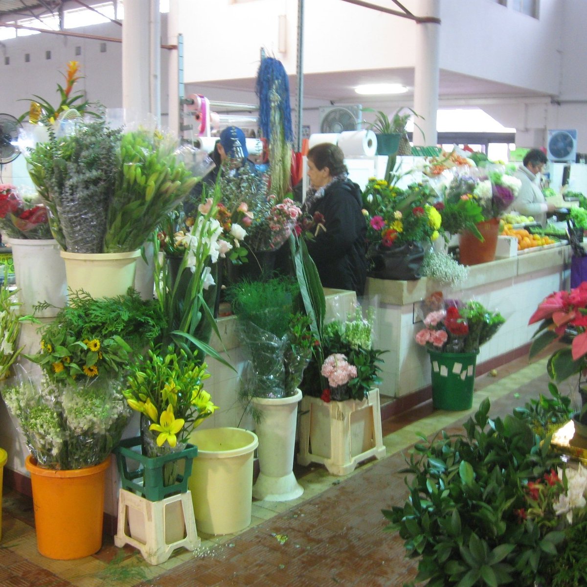 MERCADO MUNICIPAL DE VILA DE SANTO ANTÓNIO (Vila Real de Santo António) -  Qué SABER antes de ir