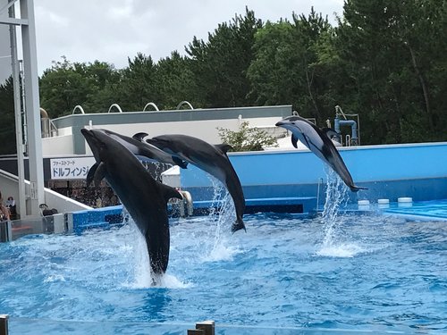 新潟市の公園 自然 ベスト10 トリップアドバイザー