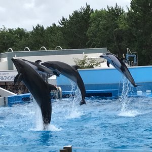 新潟市で雨の日に楽しめるイチ押しの屋内観光スポット10 選 トリップアドバイザー