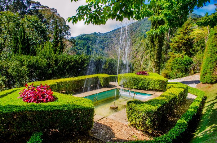 Jardim