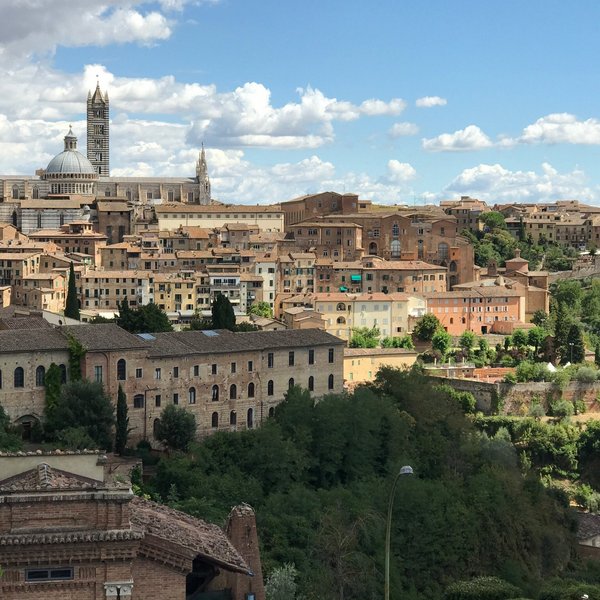 MUSEO DELLA CONTRADA DEL LEOCORNO (Siena) - What to Know BEFORE You Go