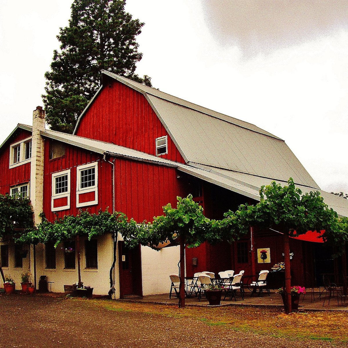 wine flight - Picture of Vancouver Urban Winery - Tripadvisor