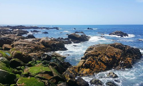 Matosinhos Beach July 2017
