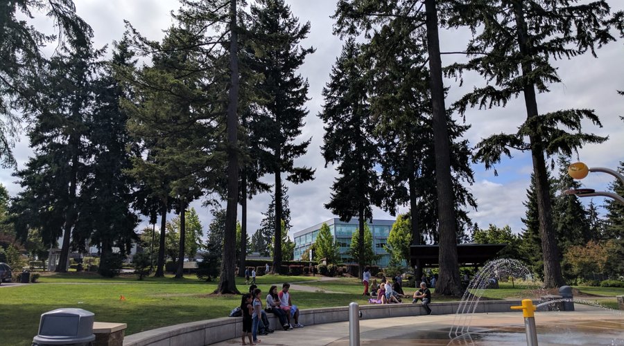 Angle Lake Park #2
