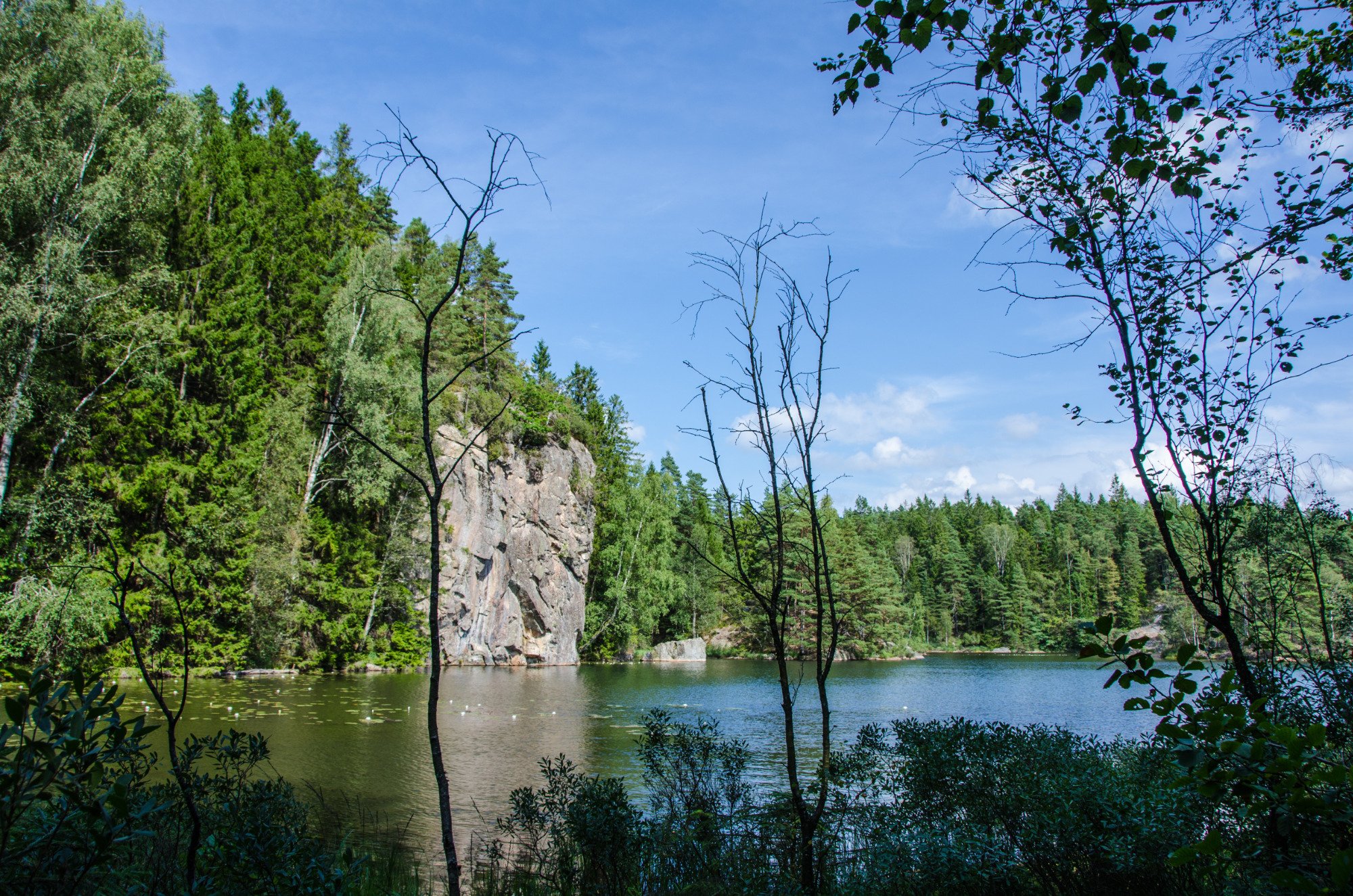 STENUNGSOGARDEN (AU$52): 2022 Prices & Reviews (Stenungsund, Sweden ...