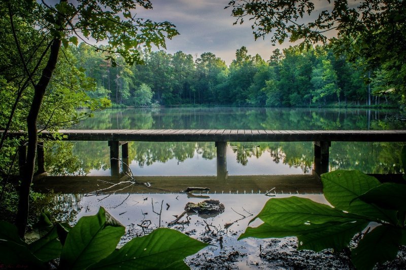 anne springs close greenway bike trails