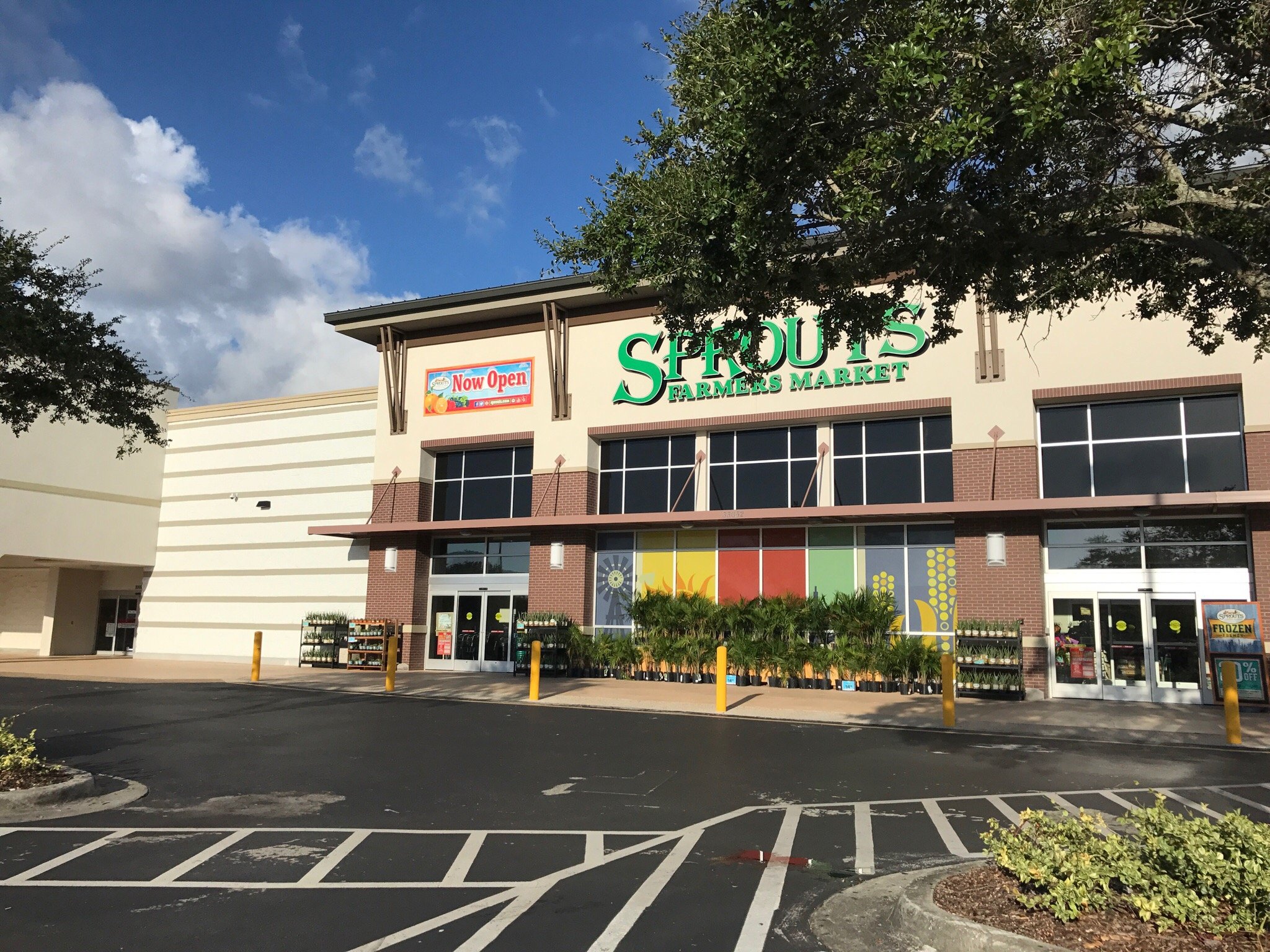 THE 5 BEST Places to Go Shopping in Palm Harbor Updated 2024