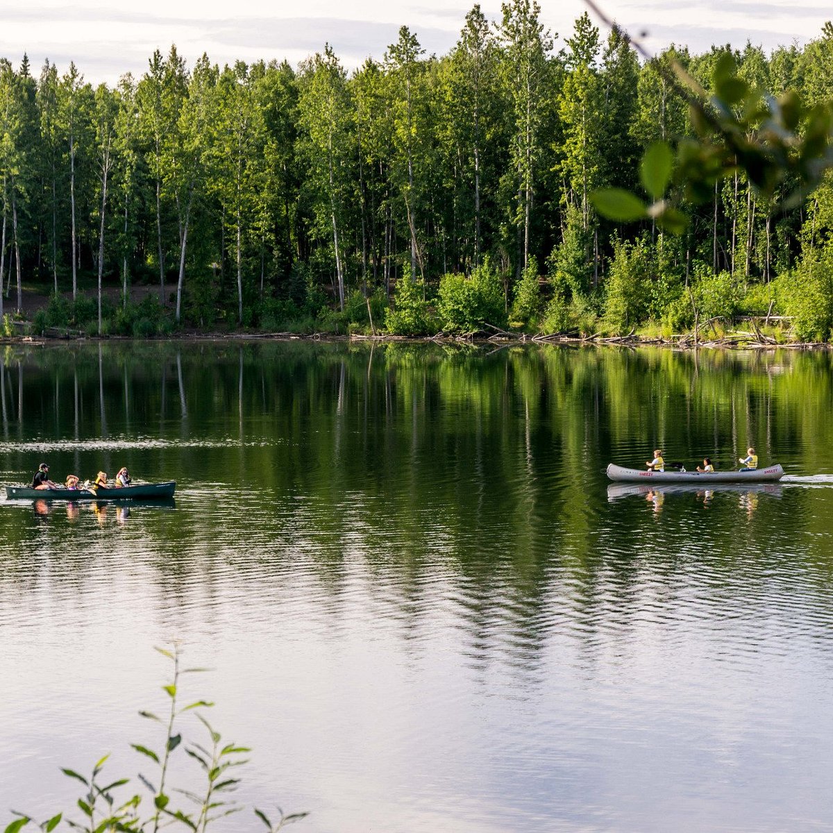 UNIVERSITY LAKE DOG PARK (Anchorage) - All You Need to Know BEFORE You Go