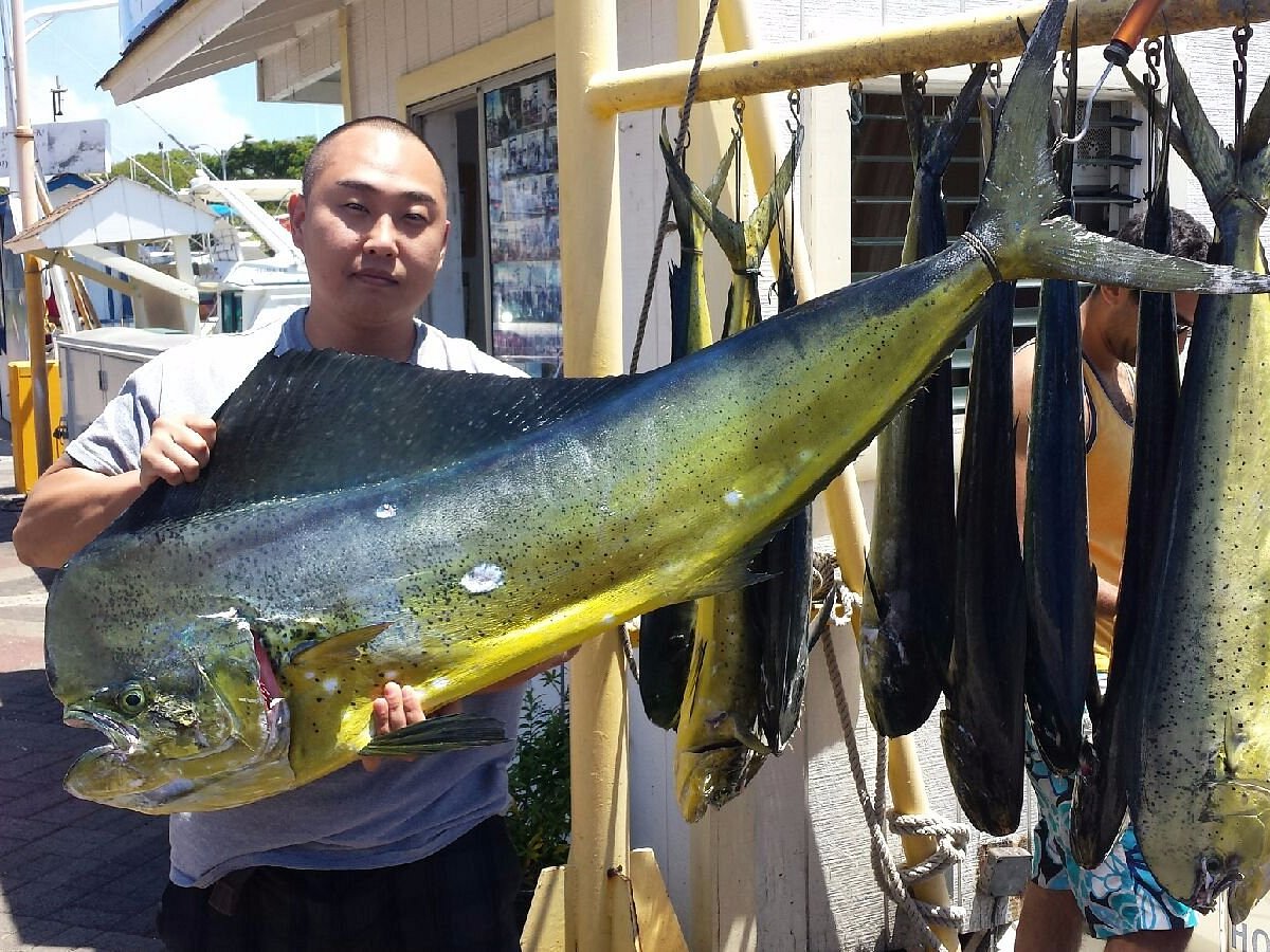 Sea Hawk Sport Fishing Report « Maggie Joe Sport Fishing Oahu Deep Sea  Fishing