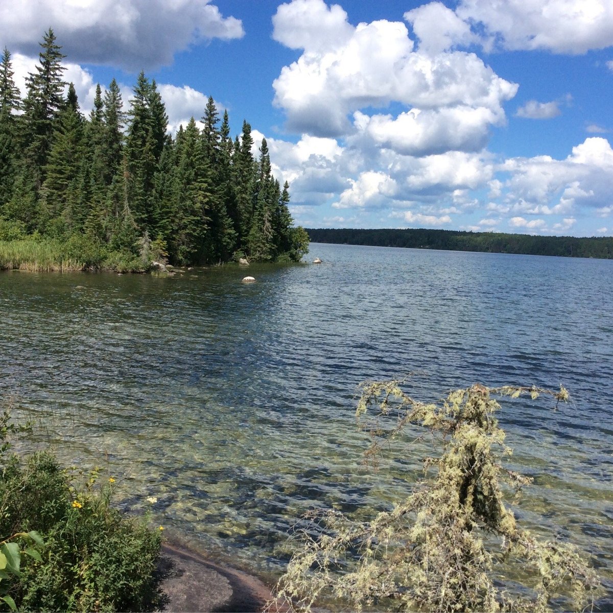 BLUE LAKE PROVINCIAL PARK (Vermilion Bay) Ce qu'il faut savoir