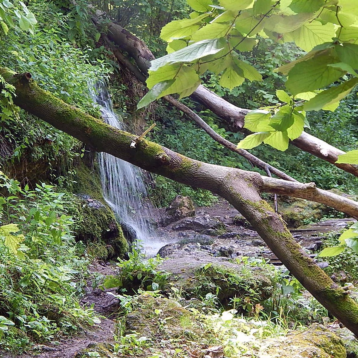 Пущино водопад на Оке Серпуховский район где рядом с палаткой