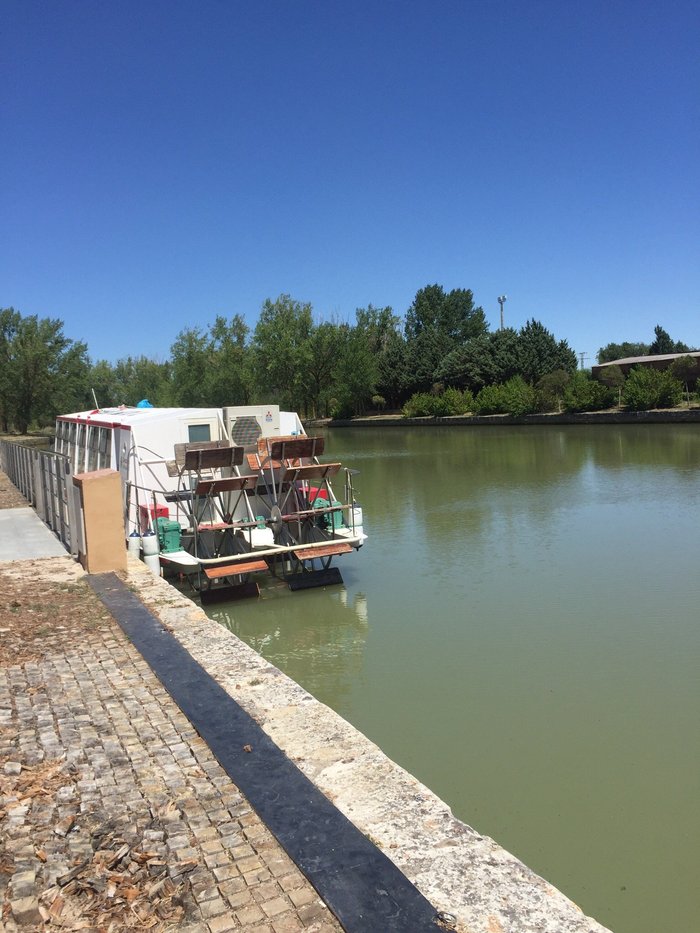 Imagen 7 de Canal de Castilla