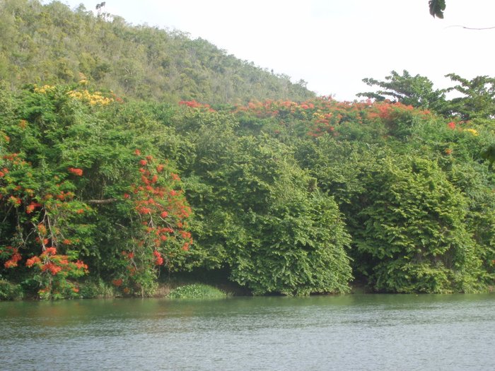 Rio Chavon | HORARIOS, DIRECCIÓN, FOTOS Y OPINIONES