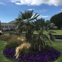 Marine Gardens