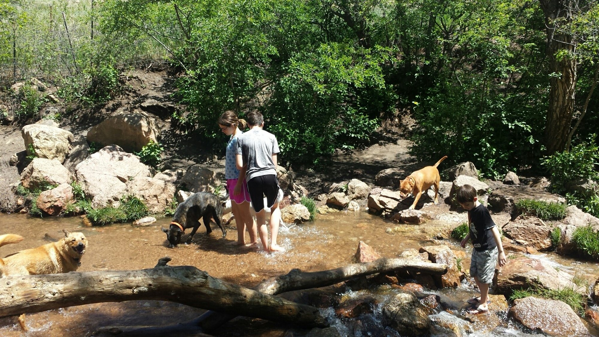 2022 Bear Creek Regional Park   Summer Fun For Kids Dogs 