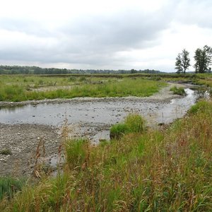 Nose Hill Park in Northwest Calgary - Tours and Activities