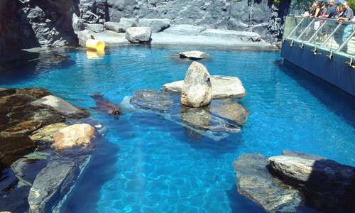 Mystic Aquarium