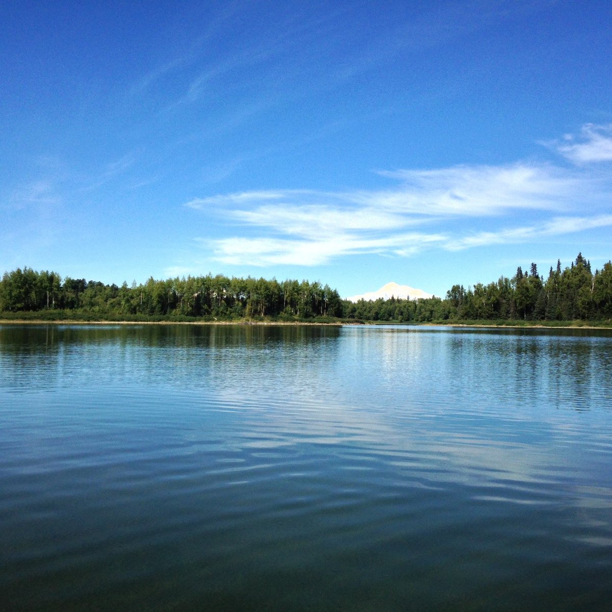 Talkeetna Lakes Park (2025) - All You Need to Know BEFORE You Go