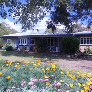 James Farmhouse Spring Flowers 
