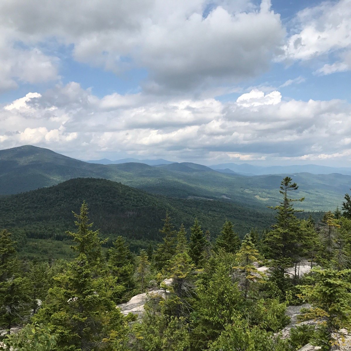 Black Cap Hiking Trail (North Conway) All You Need to Know BEFORE You Go