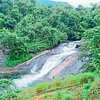 Things To Do in Adyanpara Waterfalls, Restaurants in Adyanpara Waterfalls