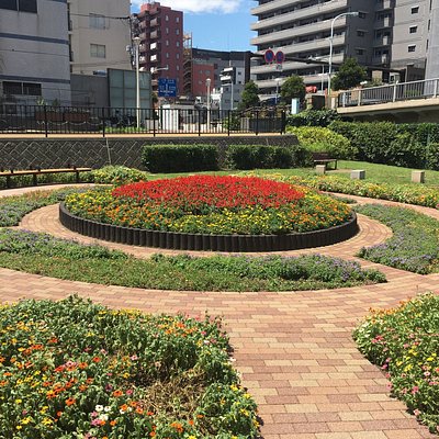 墨田区のアクティビティ ゲームセンター ベスト10 トリップアドバイザー 墨田区のアクティビティ ゲームセンター ベスト10 トリップアドバイザー