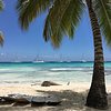 Things To Do in Bayahibe Caracol Tours, Restaurants in Bayahibe Caracol Tours