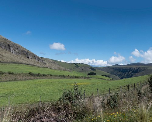 Écusson Montagne Rond Wilderness - Intermercerie