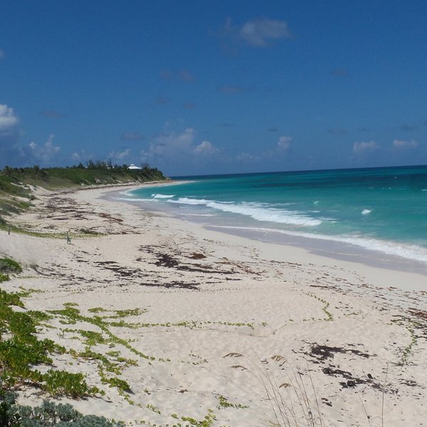 Castaway Cay (sandy Point) - 2022 All You Need To Know Before You Go 