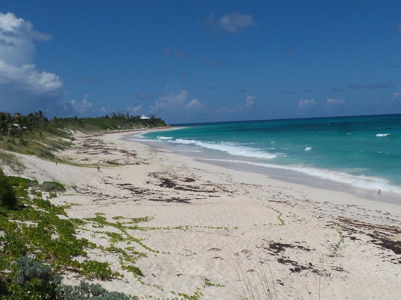 Great Abaco Island 2024: Best Places to Visit - Tripadvisor