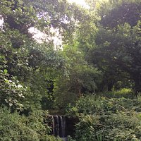 Waterfall.