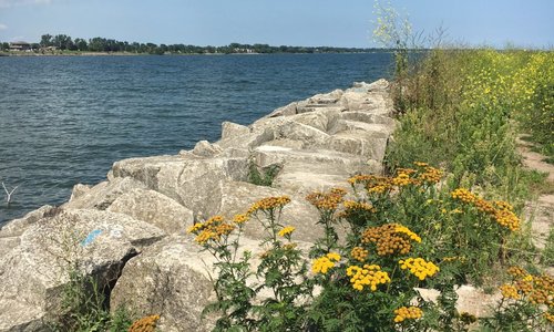 The rocks surrounding the marina