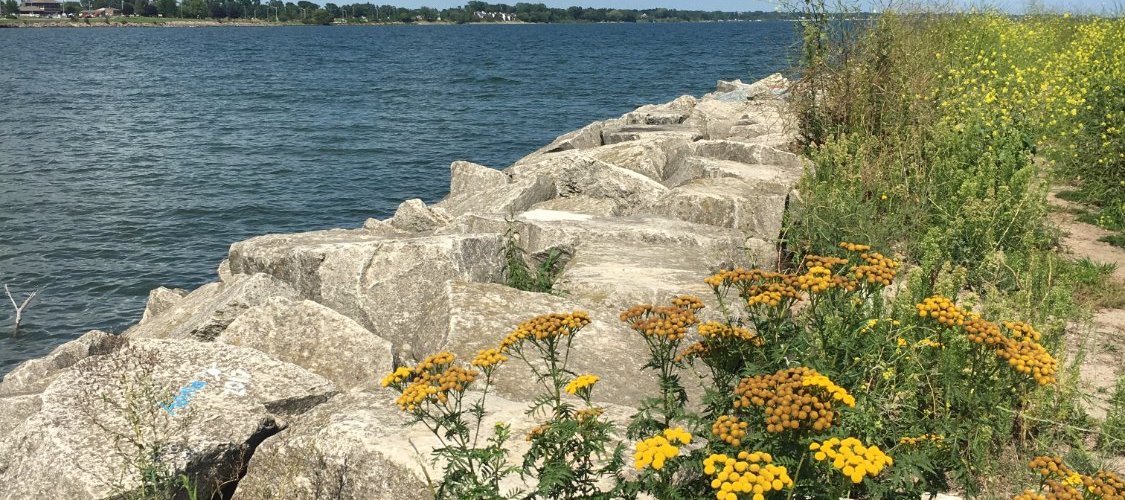 The rocks surrounding the marina