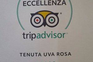 Ristorazione