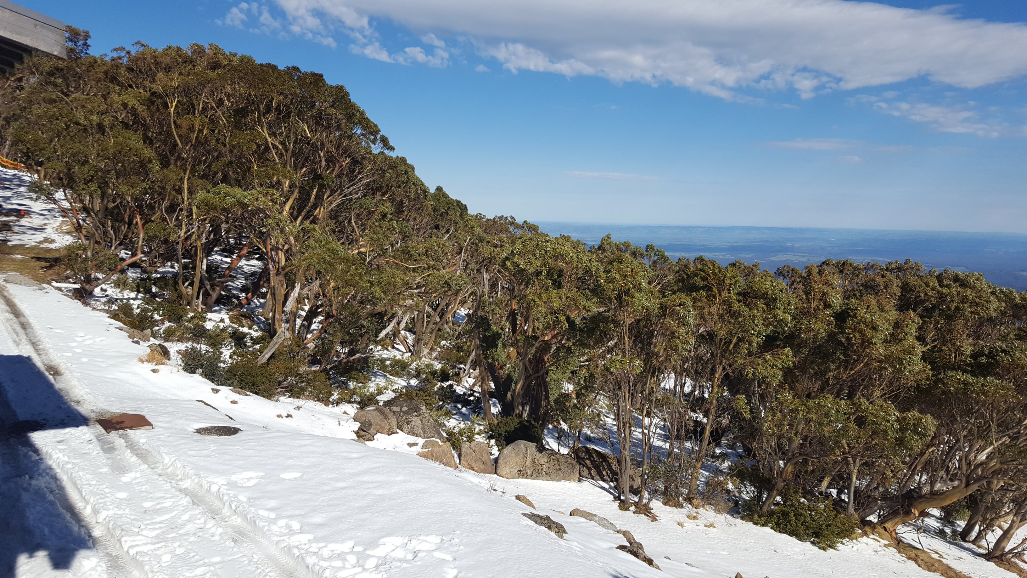 Mt Baw Baw Summit Walk Mount Baw Baw All You Need To Know   20170810 132837 Largejpg 