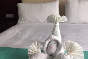 Room & Suite