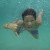 Renato D