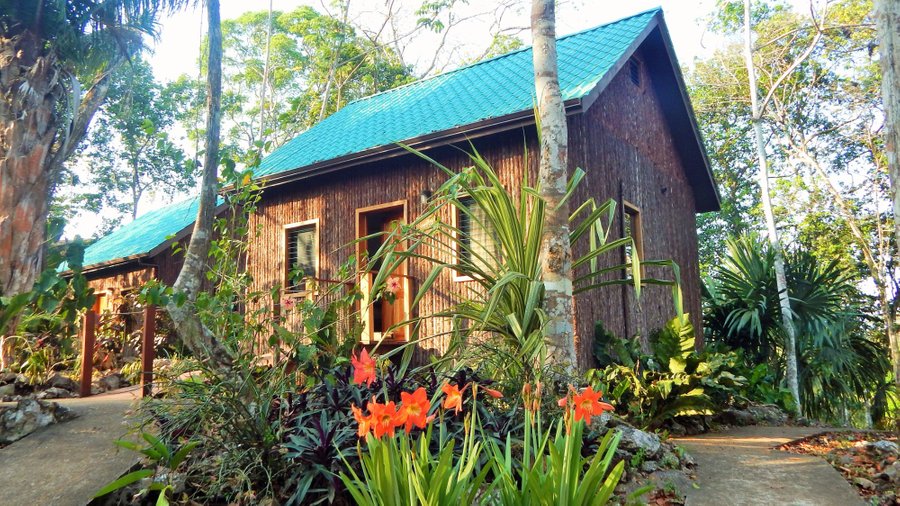 Mariposa Jungle Lodge $166 ($̶1̶8̶0̶) - Updated 2021 Prices & Hotel 