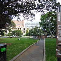 東角から、要因を背景にパビリオンを見る