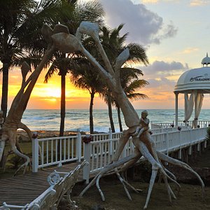 Paradisus Varadero Resort &amp; Spa, hotel in Cuba