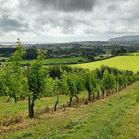 View 3