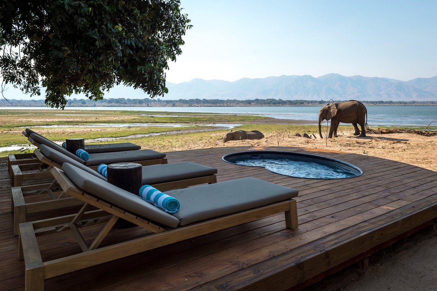 Wilderness Little Ruckomechi Pool Pictures & Reviews Wilderness Little Ruckomechi Pool Pictures & Reviews - Tripadvisor