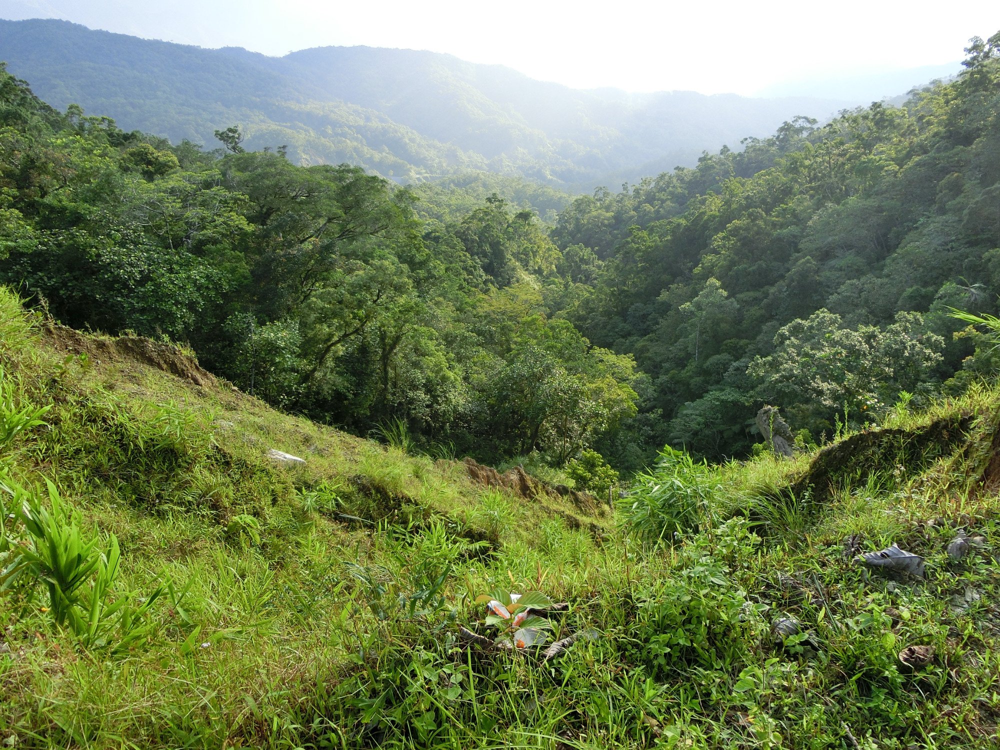 THE 10 BEST Philippines National Parks (2024 List) - Tripadvisor