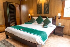 The Tree House Resort in Jaipur