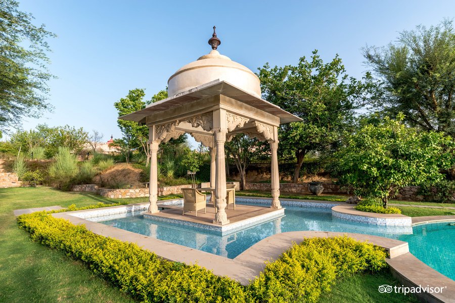 tree of life jaipur tripadvisor