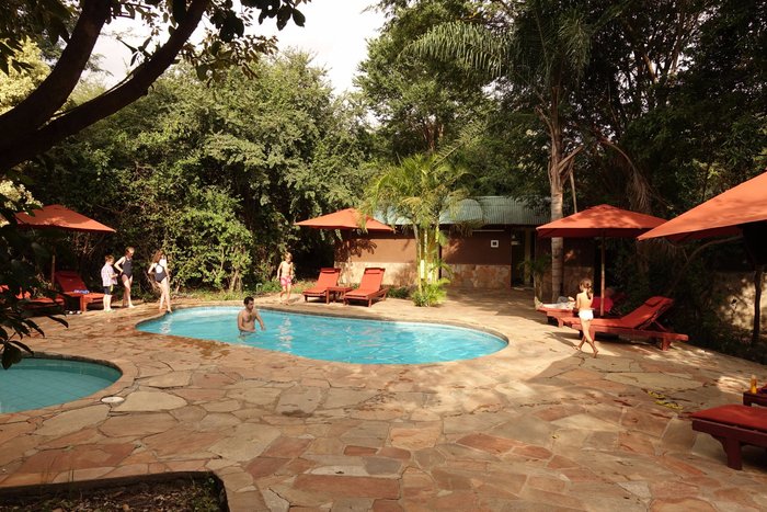 Mara Leisure Camp Pool: Pictures & Reviews - Tripadvisor