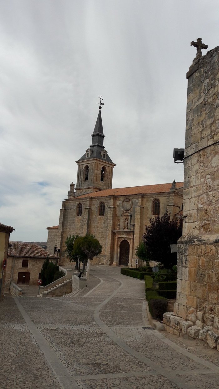 Imagen 6 de Iglesia Colegial de San Pedro Apostol